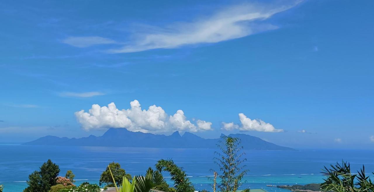 Studio Confort Avec Piscine Et Vue Tahiti Punaauia Kültér fotó