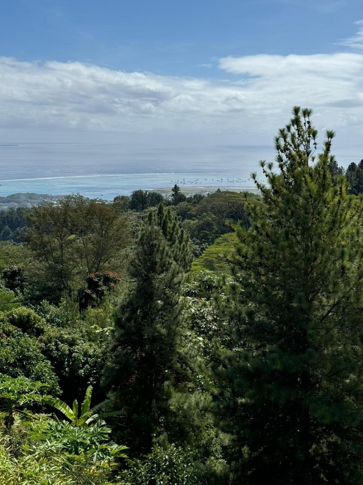 Studio Confort Avec Piscine Et Vue Tahiti Punaauia Kültér fotó