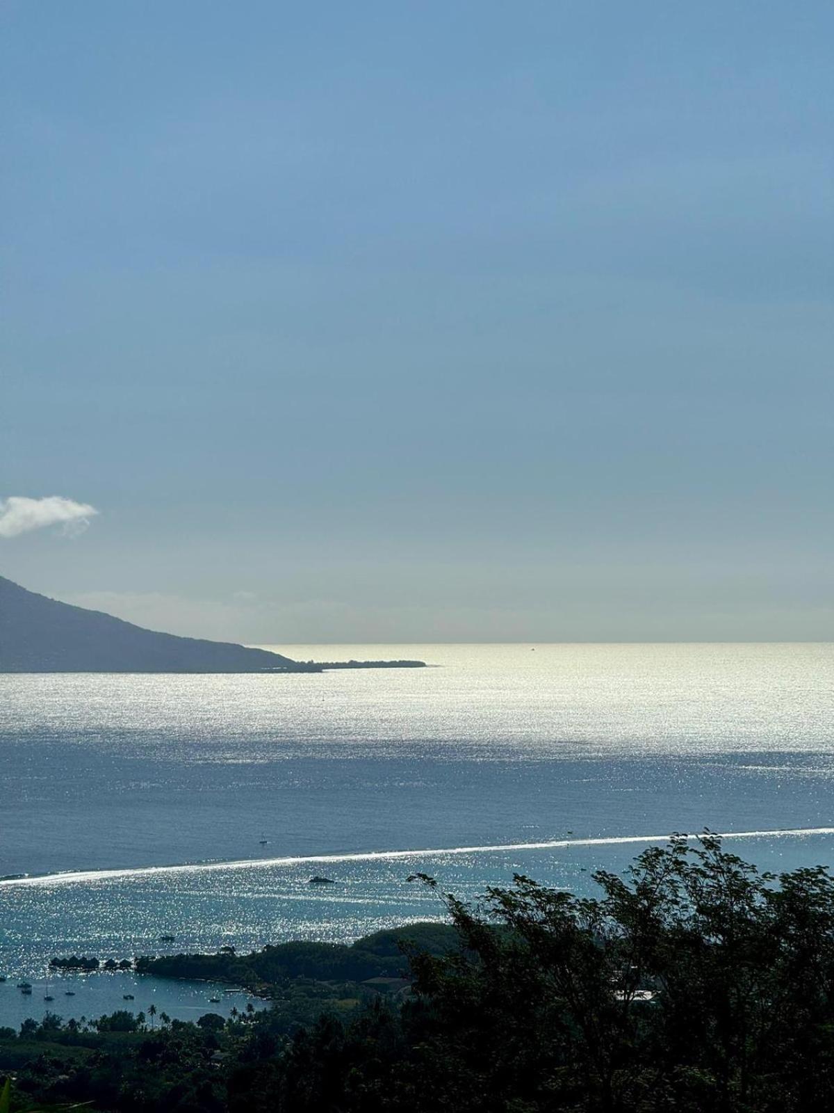Studio Confort Avec Piscine Et Vue Tahiti Punaauia Kültér fotó