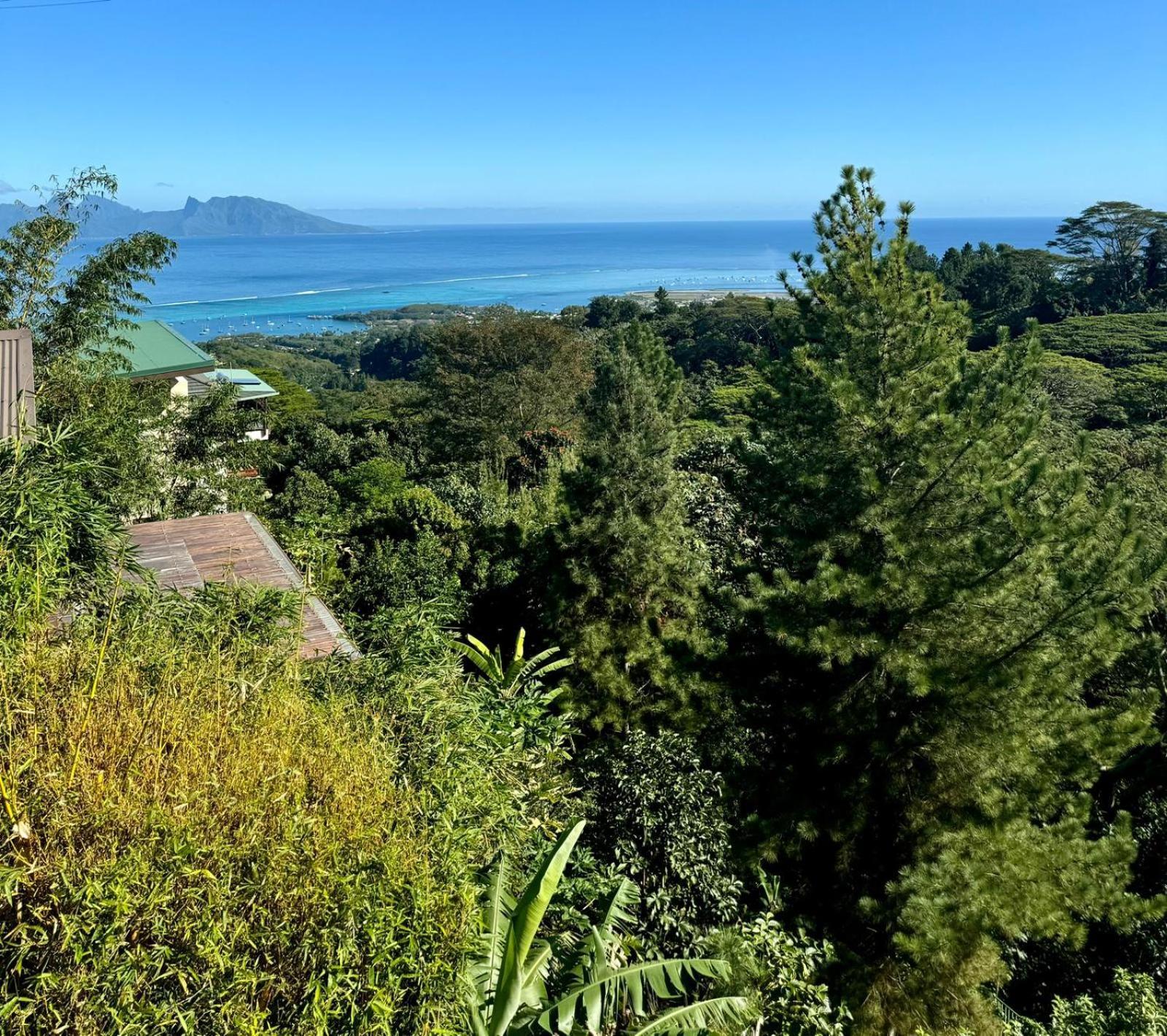 Studio Confort Avec Piscine Et Vue Tahiti Punaauia Kültér fotó